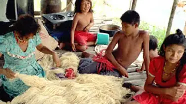 800 personas del pueblo warao recibieron atención médico-asistencial 800 personas del pueblo warao recibieron atención médico-asistencial