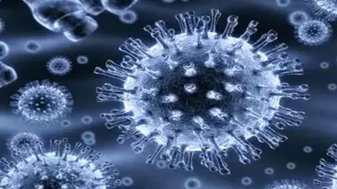 Este gigante de internet estudia uso de nanopartículas para detectar el cáncer Este gigante de internet estudia uso de nanopartículas para detectar el cáncer