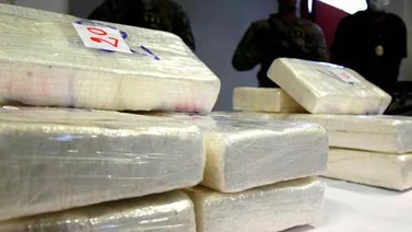 Decomisaron 673 kilos de cocaína