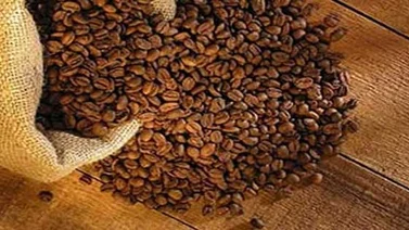Fijan aumento del subsidio para café tostado y molido