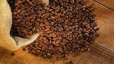 Fijan aumento del subsidio para café tostado y molido Fijan aumento del subsidio para café tostado y molido