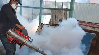 Eliminan criaderos de zancudos en Cementerio General del Sur Eliminan criaderos de zancudos en Cementerio General del Sur