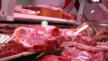 Confagan garantiza abastecimiento de carne para diciembre