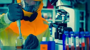 Desarrollan un test de diagnóstico rápido de ébola en Francia Desarrollan un test de diagnóstico rápido de ébola en Francia