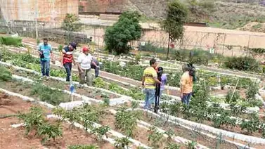 Registro Nacional de Productores lleva 1.249 inscritos en Yaracuy Registro Nacional de Productores lleva 1.249 inscritos en Yaracuy
