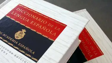 Llega el nuevo Diccionario de la RAE, renovado y con un léxico más actual Llega el nuevo Diccionario de la RAE, renovado y con un léxico más actual