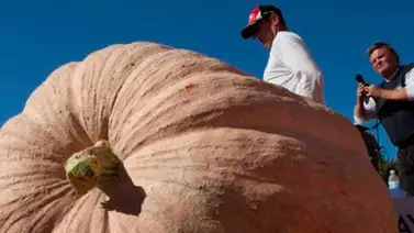 La calabaza más grande del mundo La calabaza más grande del mundo