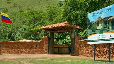Sembraron 3.000 árboles en el reservorio forestal "Hato Piñero" ubicado en Cojedes Sembraron 3.000 árboles en el reservorio forestal "Hato Piñero" ubicado en Cojedes