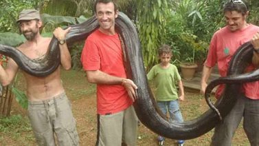 Un profesor de matemáticas descubre a una anaconda de más de 5m