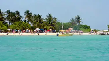 Festival "Playa Chévere para la Vida" se realiza hoy Festival "Playa Chévere para la Vida" se realiza hoy