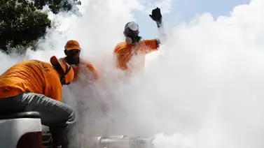 Alcaldías se activan contra el chikunguña Alcaldías se activan contra el chikunguña