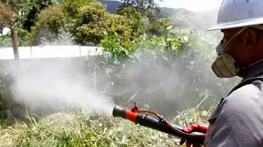 Realizan operativos de fumigación en 100 planteles de Nueva Esparta Realizan operativos de fumigación en 100 planteles de Nueva Esparta