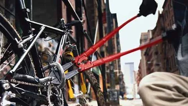 Dictan condena contra joven por robo de bicicleta en Aragua