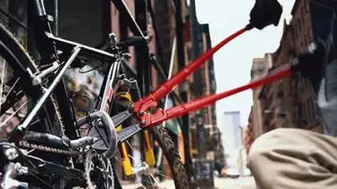 Dictan condena contra joven por robo de bicicleta en Aragua Dictan condena contra joven por robo de bicicleta en Aragua