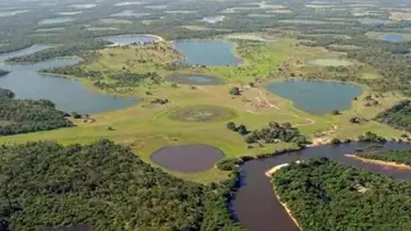 El Pantanal de Brasil, un paraíso escondido de fauna salvaje El Pantanal de Brasil, un paraíso escondido de fauna salvaje