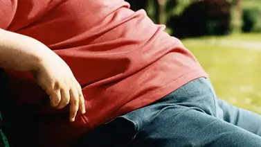 INN adelanta campaña "Agarra dato, come sano" para reducir tasas de obesidad en Venezuela INN adelanta campaña "Agarra dato, come sano" para reducir tasas de obesidad en Venezuela