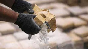 GNB decomisó 600 kilogramos de cocaína pura en Zulia