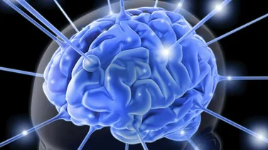 Científicos trabajan para ayudar al cerebro a manejar macrodatos
