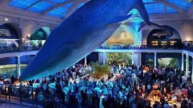 Una noche en el museo sólo para adultos Una noche en el museo sólo para adultos