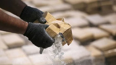 Incineración de 340 kilos de droga en Táchira