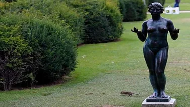 Ratas se pasean en los jardines del Louvre