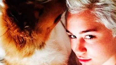Miley Cyrus contrata a médium para contactar con su perro