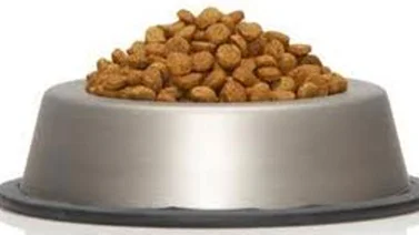 Incautan cargamento de cocaína en comida para perros