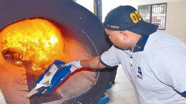 Incinerados más de 244 kilos de drogas en Apure