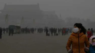 Hacer arte a partir de la contaminación