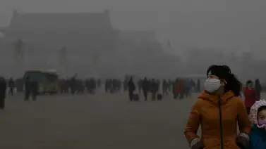 Hacer arte a partir de la contaminación Hacer arte a partir de la contaminación