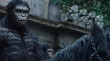 Planeta de los simios domina taquilla en EEUU-Canadá Planeta de los simios domina taquilla en EEUU-Canadá