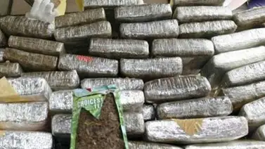 Hallan 6,5 toneladas de marihuana en comunidad indígena en Paraguay Hallan 6,5 toneladas de marihuana en comunidad indígena en Paraguay
