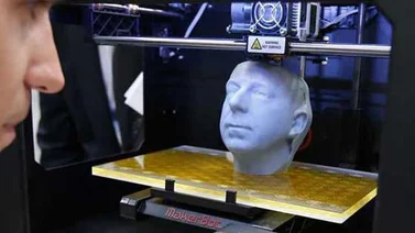 Detienen a artista nipona por enviar datos para imprimir sus genitales en 3D