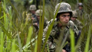 Mueren doce guerrilleros de las FARC en operaciones militares en Colombia