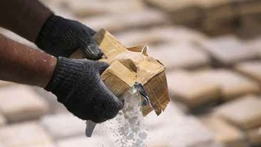 Incautan 45,5 kilogramos de cocaína en Táchira