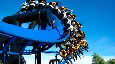 Árbol cayó sobre montaña rusa en California Árbol cayó sobre montaña rusa en California