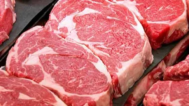 Cinco hospitalizados en Hungría tras manipular carne contaminada con ántrax