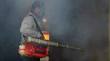 Fumigaciones en Caracas para prevenir el virus Chikungunya Fumigaciones en Caracas para prevenir el virus Chikungunya
