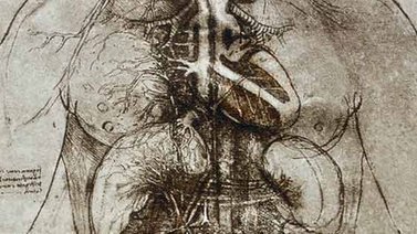 ¿Por qué los dibujos del corazón de Da Vinci siguen siendo relevantes?