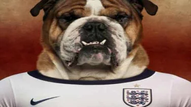 Camisetas para perros o condones de caipirinha: los objetos más insólitos del Mundial