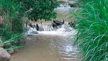 Realizan labores de limpieza a 350 quebradas de Caracas Realizan labores de limpieza a 350 quebradas de Caracas