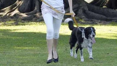 ¿A Los musulmanes no les gustan los perros?