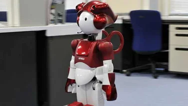 Crean un robot bromista en Japón