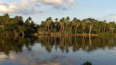 Devueltas a su hábitat natural 21 aves de la fauna silvestre en Delta Amacuro