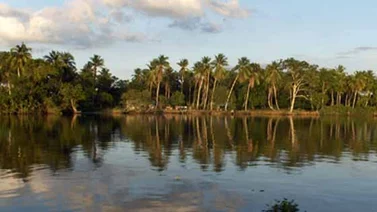 Devueltas a su hábitat natural 21 aves de la fauna silvestre en Delta Amacuro