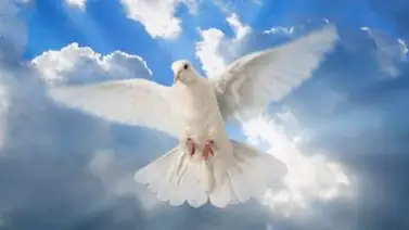 "Beatificar" no es lo mismo de "canonizar" o "santificar" "Beatificar" no es lo mismo de "canonizar" o "santificar"