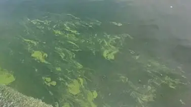 Continaminación no da tregua en el Lago de Maracaibo Continaminación no da tregua en el Lago de Maracaibo