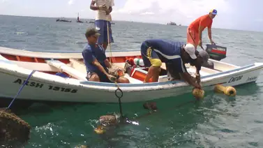 Brigada de guardacostas busca a dos pescadores desaparecidos Brigada de guardacostas busca a dos pescadores desaparecidos