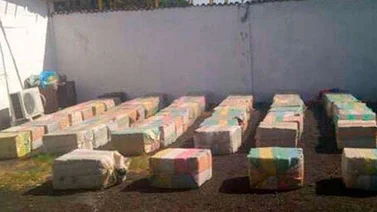 Incautados más de 910 Kg de marihuana en el estado Apure