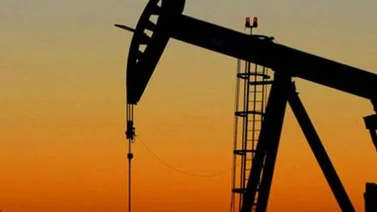 Barril Opep se ubicó en 106,53 dólares